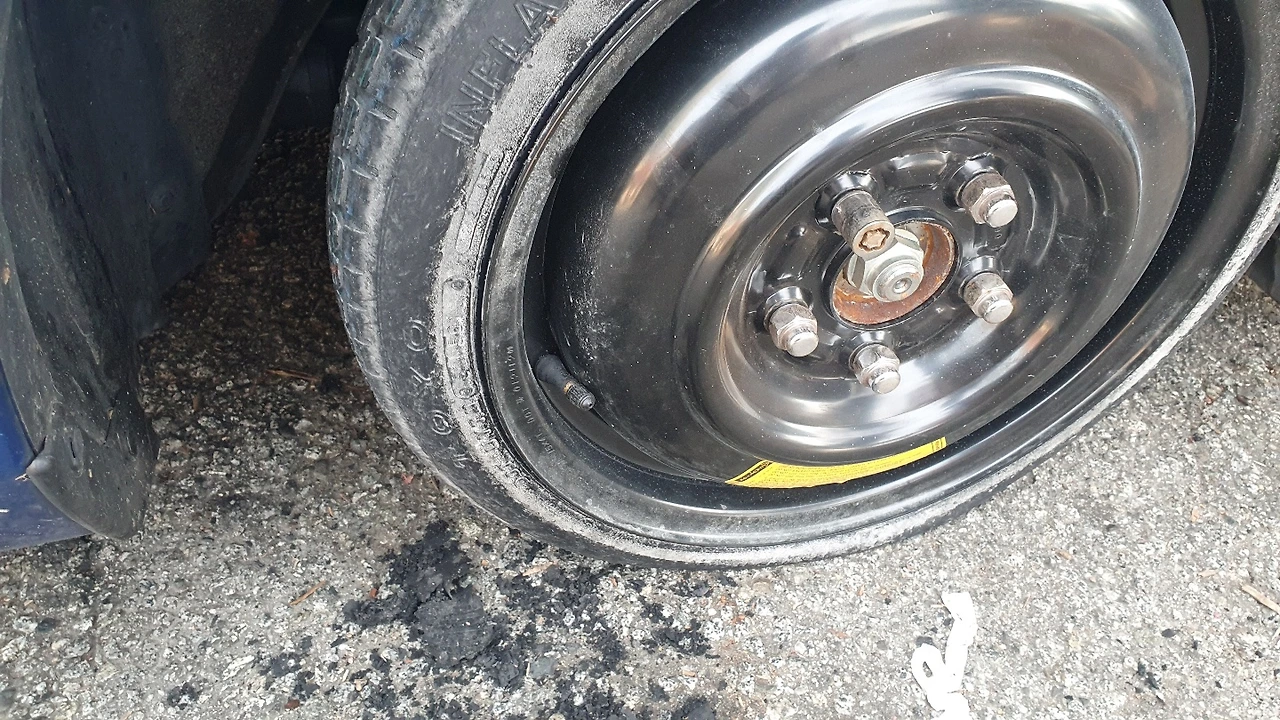 KakaoTalk_Photo_2022-11-21-22-16-37 008.jpeg