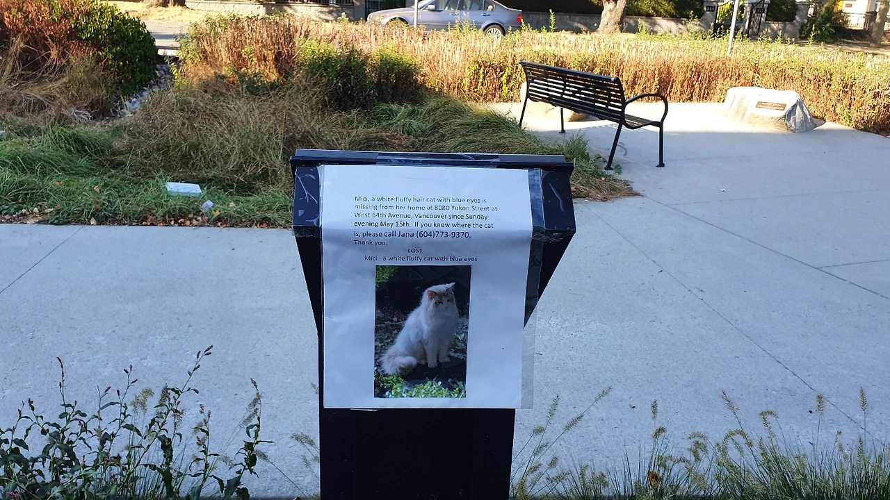 KakaoTalk_Photo_2022-09-27-08-49-35 002.jpeg