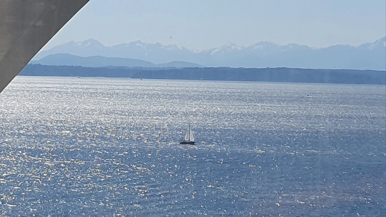 KakaoTalk_Photo_2023-05-29-23-13-04 002.jpeg