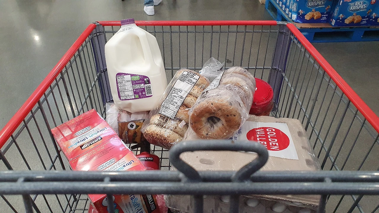 KakaoTalk_Photo_2022-10-12-12-36-31 003.jpeg