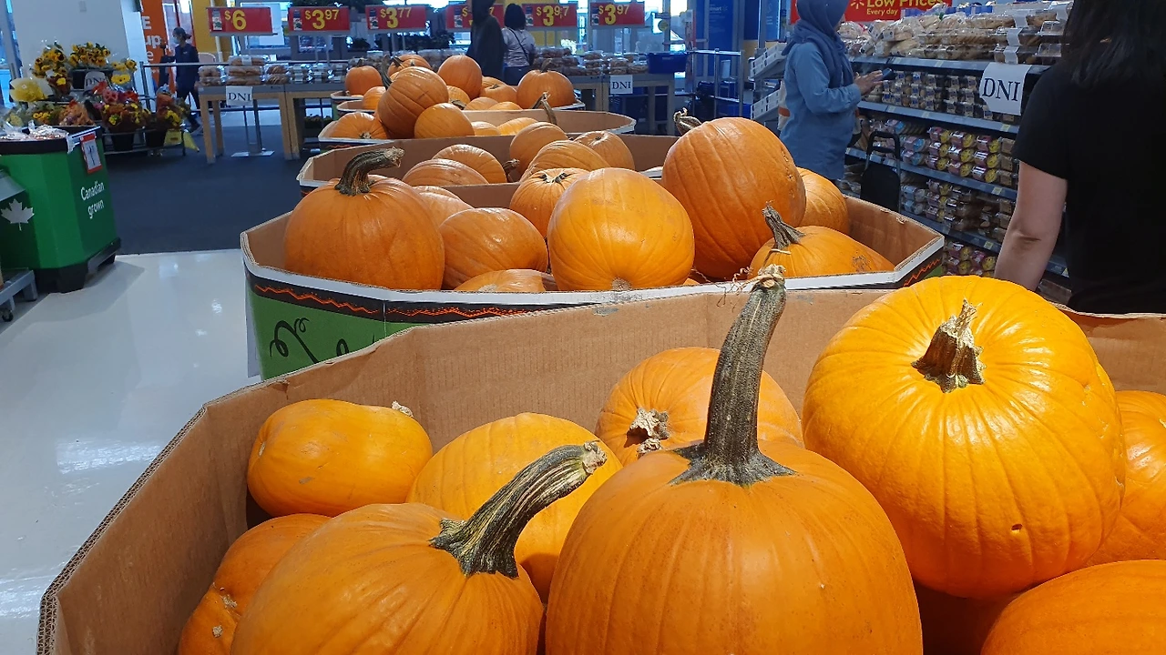 KakaoTalk_Photo_2022-09-25-20-10-12 014.jpeg