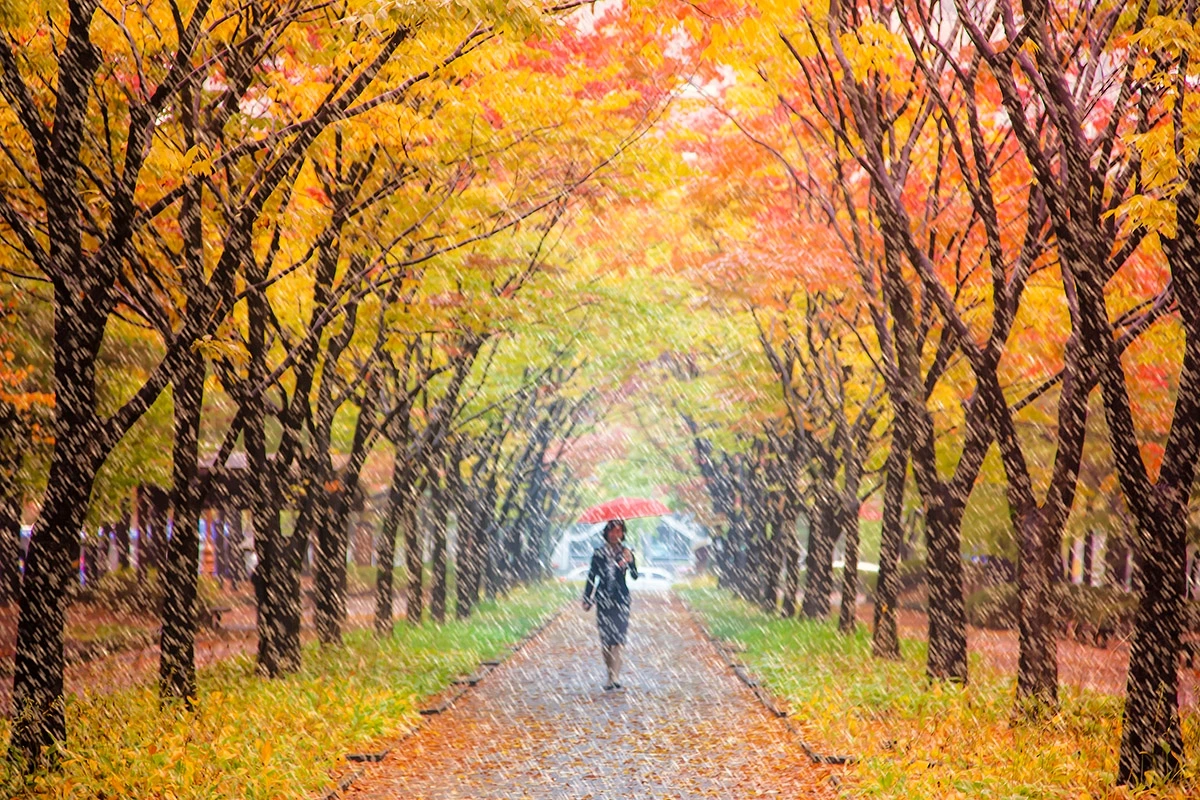 길이 아닌 길, 길 없는 길.jpeg