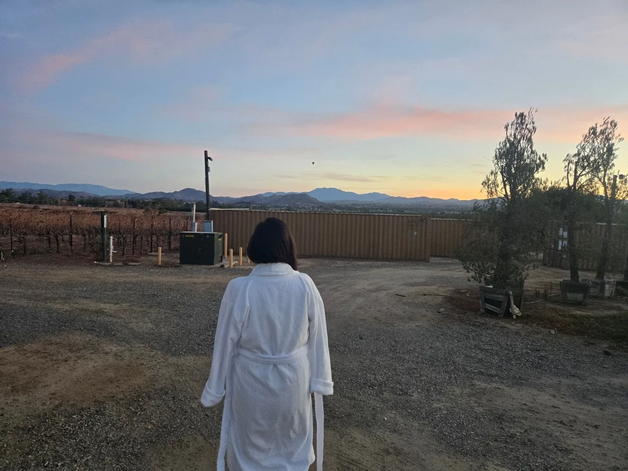 3472591567883539796.jfif