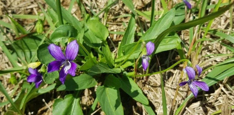 1697878609202.jpeg?type=w773