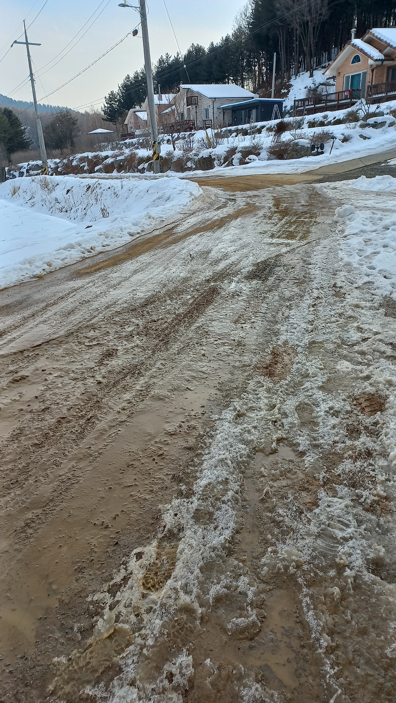 겨울동안 노지밭 옆 도로의 지저분한 모습_Resized_20240130_160427_1712001163271.jpeg