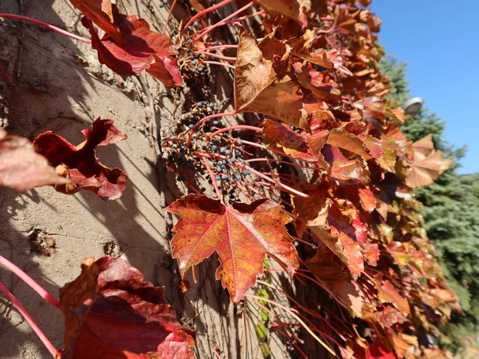 SE-3c425d92-9e40-4205-b75a-f978e05010ef.jpg?type=w1