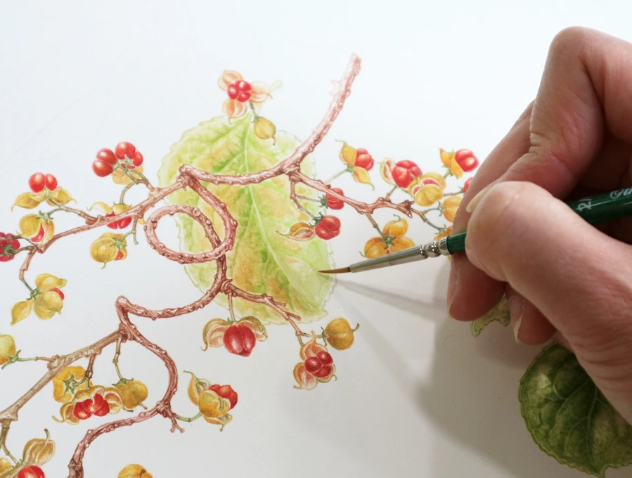 SE-add04a41-e2e8-4d70-a616-b633839e0243.jpg?type=w1