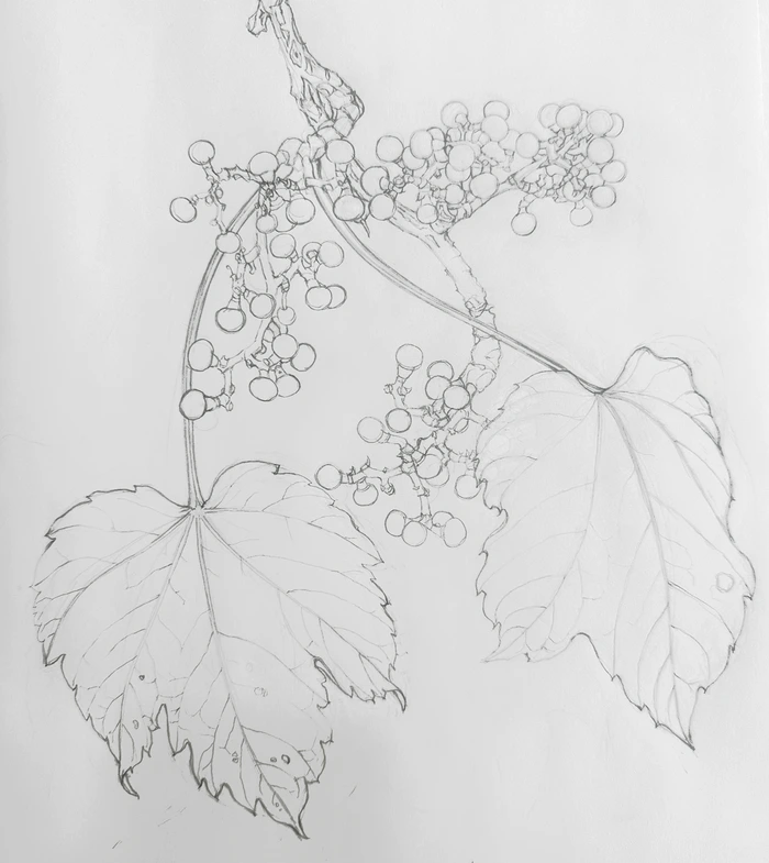 SE-6f2062fc-7d67-4e31-96d5-fb6ed246fffe.jpg?type=w1