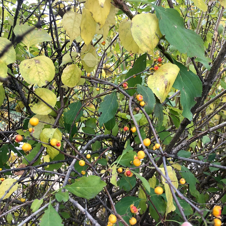 SE-fcc3f920-76c2-4d48-a55a-7cd4922c1c9f.jpg?type=w1