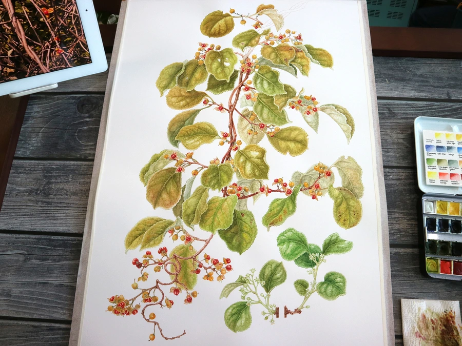 SE-73069572-fe7e-4285-8aca-1e8a971594c7.jpg?type=w1