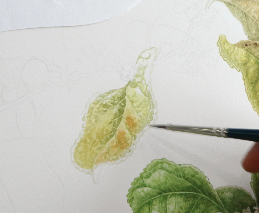 SE-ecdd1ec4-663a-4357-8656-3b21a8a897dc.jpg?type=w1