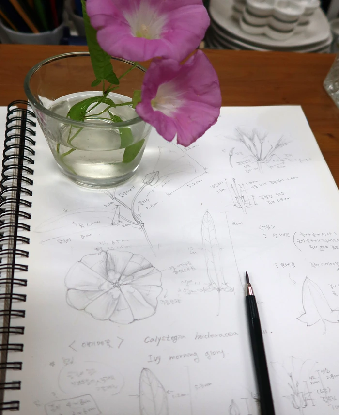 SE-27a64cf8-675a-4d7e-81b3-cca13323ea23.jpg?type=w1