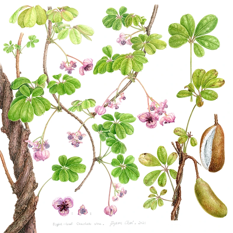 22.%EC%9C%BC%EB%A6%84%EB%8D%A9%EA%B5%B4%EC%8A%A4%EC%BA%94.jpg?type=w1