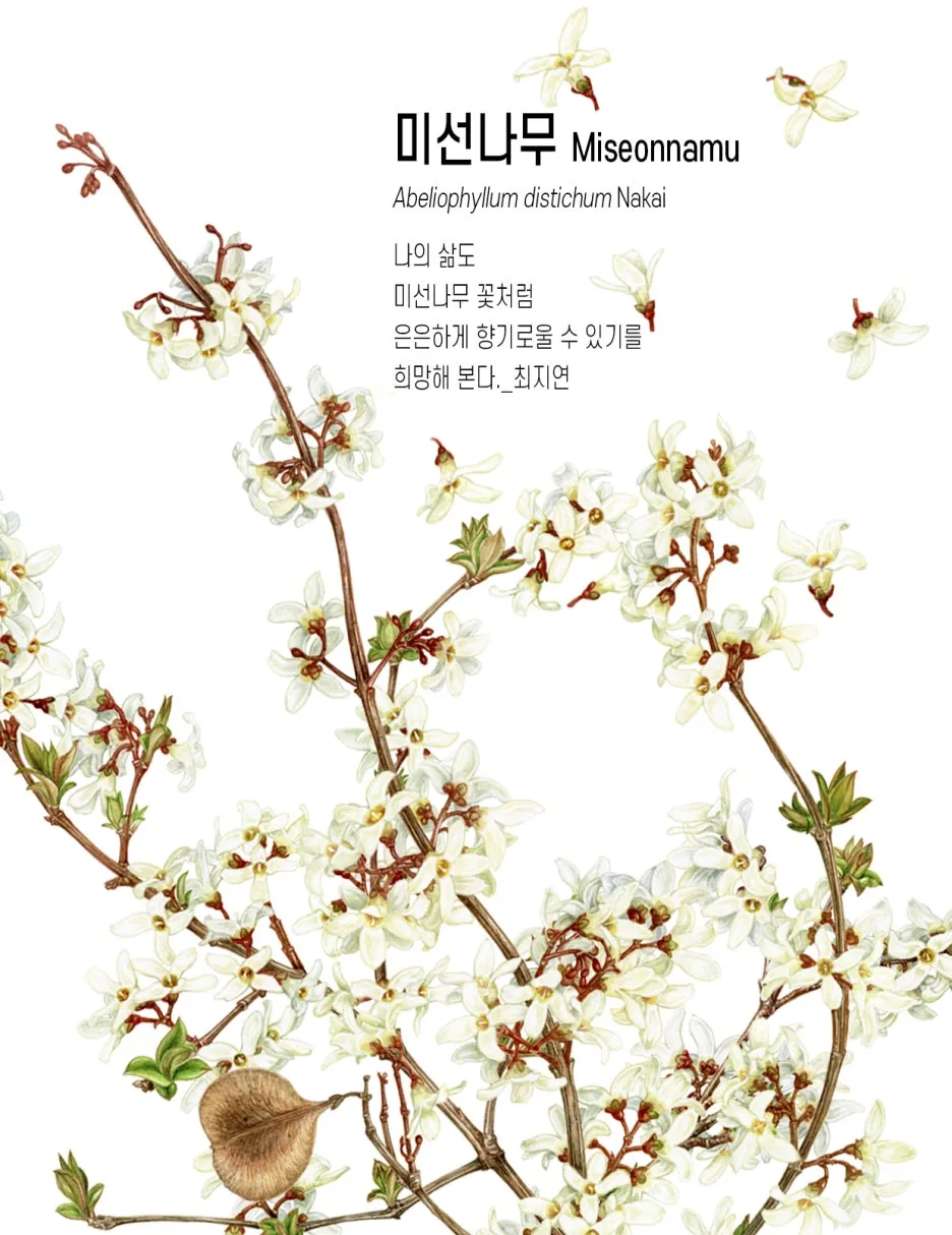 0.%EB%AF%B8%EC%84%A0%EB%82%98%EB%AC%B4%ED%91%9C%EC%A7%80.jpg?type=w1