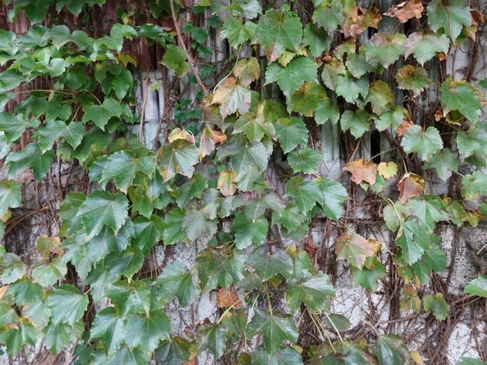 SE-a5696456-9a3c-4499-9d13-d636f9e52dfc.jpg?type=w1