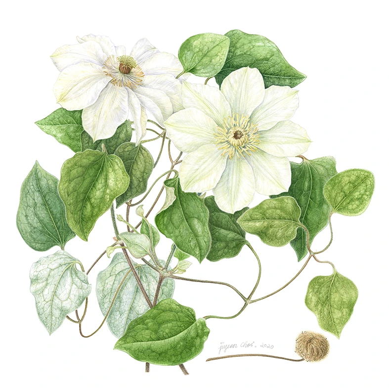 15_%ED%81%B0%EA%BD%83%EC%9C%BC%EC%95%84%EB%A6%AC%EC%8A%A4%EC%BA%94.jpg?type=w1