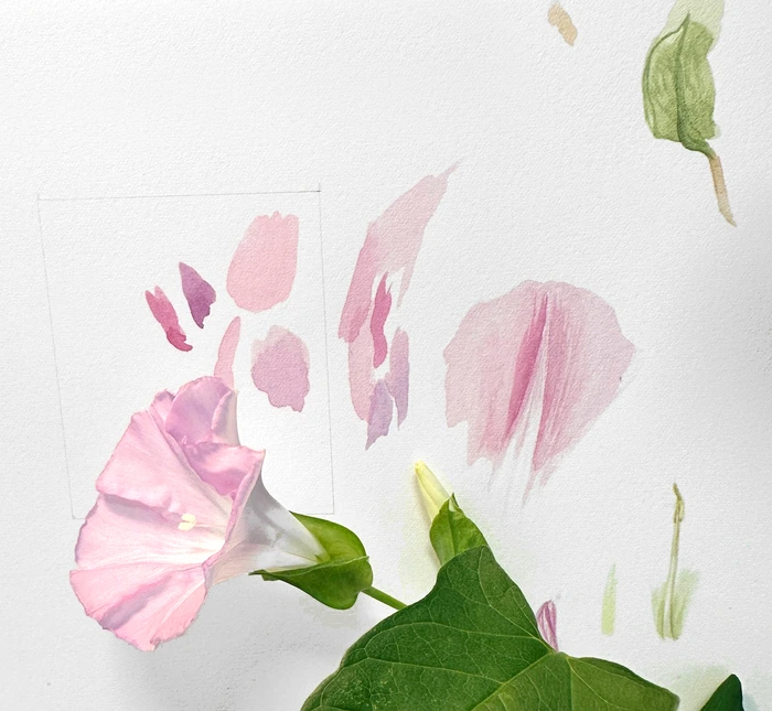 SE-74af7f8e-aea6-4c2b-90e5-3d42350a1f57.jpg?type=w1