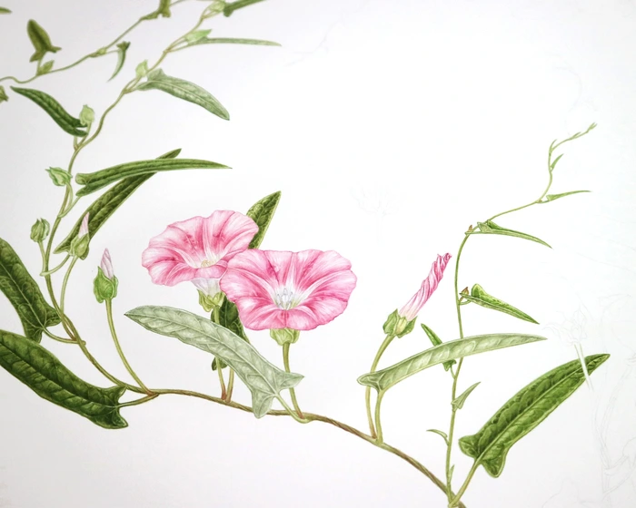 SE-dcab784d-4aae-40e2-a2c0-d7370e7135d5.jpg?type=w1