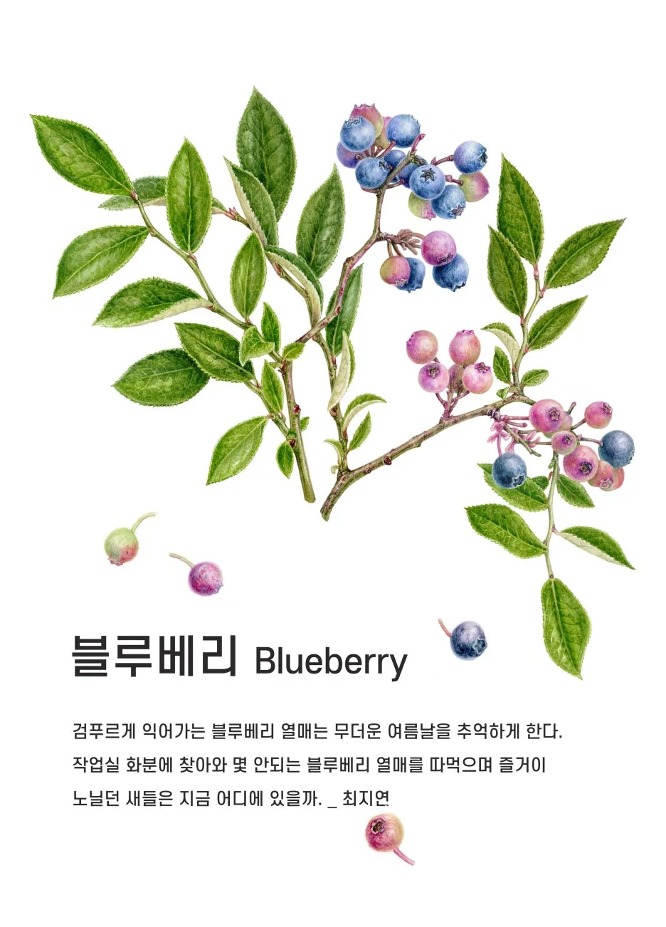 0_%ED%91%9C%EC%A7%80%EC%9D%B4%EB%AF%B8%EC%A7%80.jpg?type=w1