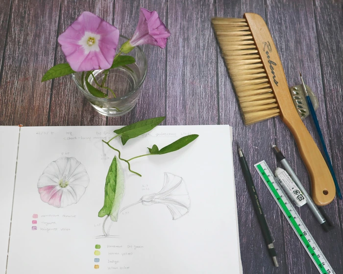 SE-3a03bac0-a549-4aa7-98b1-967d71798981.jpg?type=w1