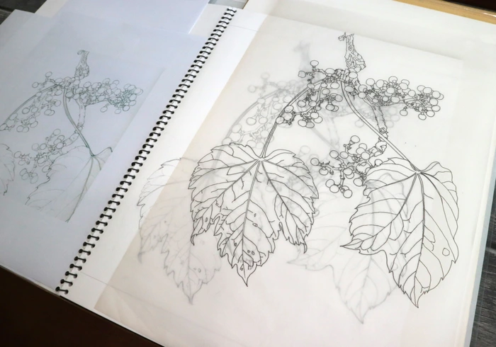 SE-48a5b932-3df8-4b21-b3a2-ca159822d04a.jpg?type=w1