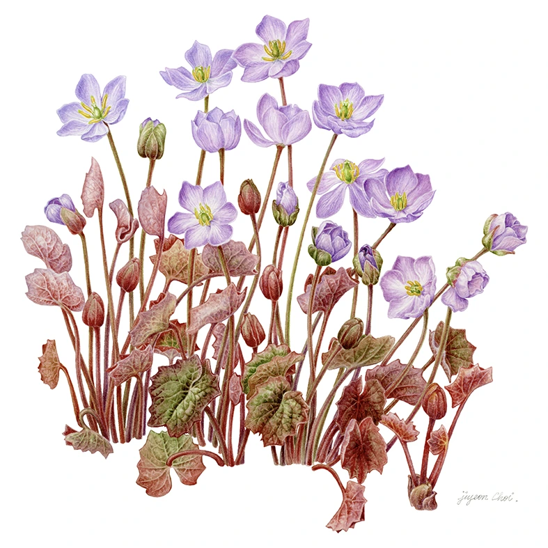 4.%EA%B9%BD%EA%B9%BD%EC%9D%B4%ED%92%80%EC%8A%A4%EC%BA%94.jpg?type=w1