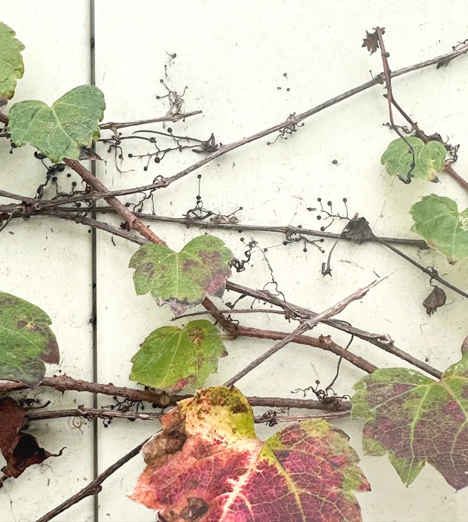 2%EB%8B%B4%EC%9F%81%EC%9D%B41.jpg?type=w1