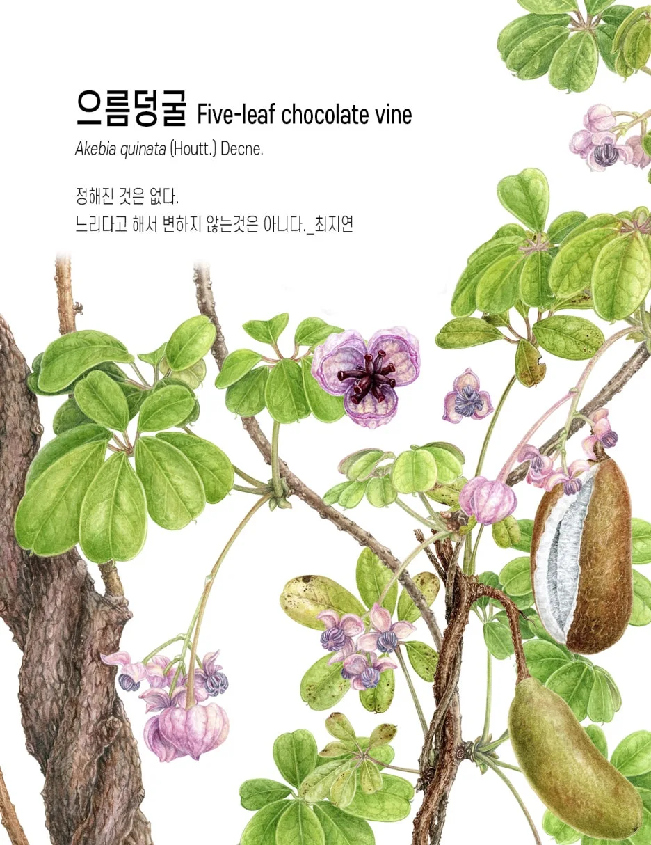 0.%EC%9C%BC%EB%A6%84%EB%8D%A9%EA%B5%B4%ED%91%9C%EC%A7%80.jpg?type=w1