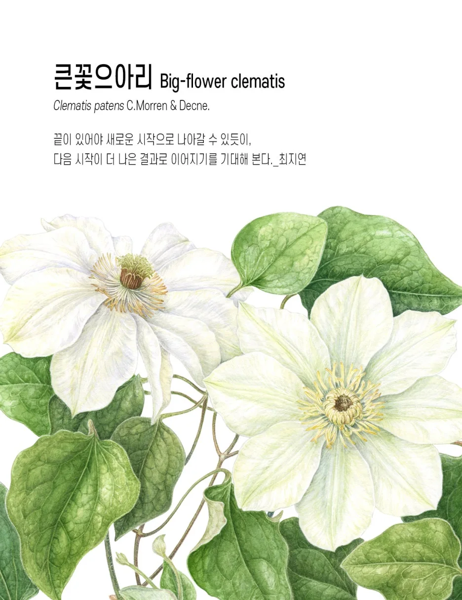 0_%ED%81%B0%EA%BD%83%EC%9C%BC%EC%95%84%EB%A6%AC%ED%91%9C%EC%A7%80.jpg?type=w1