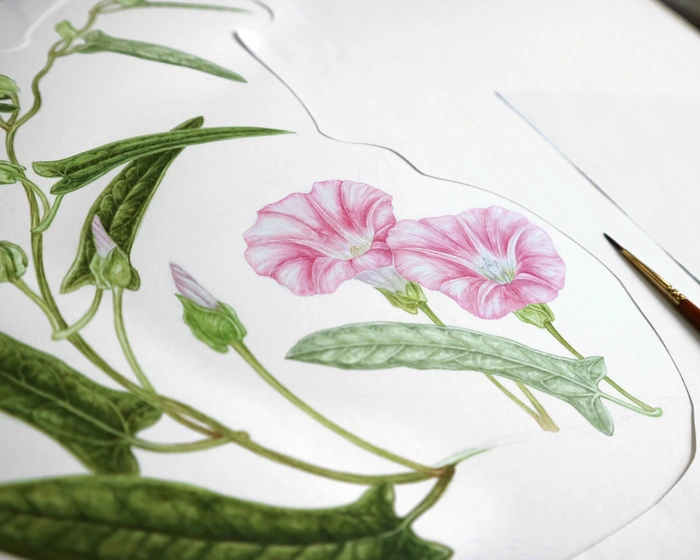 SE-bf0b135f-8ed3-4716-b7ea-e401ef2bcc4c.jpg?type=w1