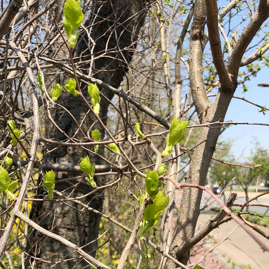 SE-63997cf5-132a-4014-b9a8-154b047b156c.jpg?type=w1