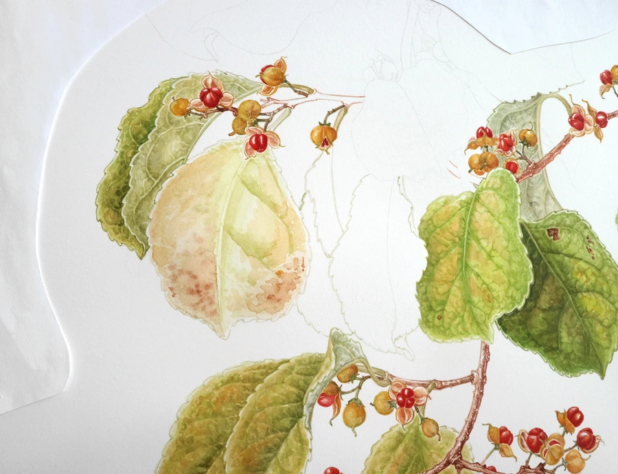 SE-63f6198f-8b52-45c6-9f9f-13d74dec31f6.jpg?type=w1