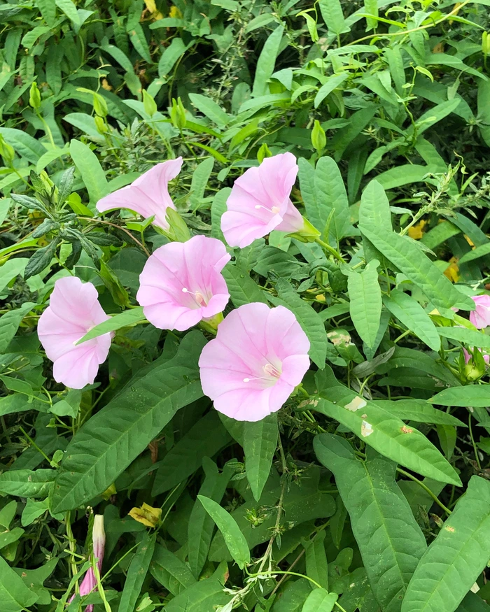 SE-cac3c166-4b3a-4080-b665-12736e7f3c1a.jpg?type=w1