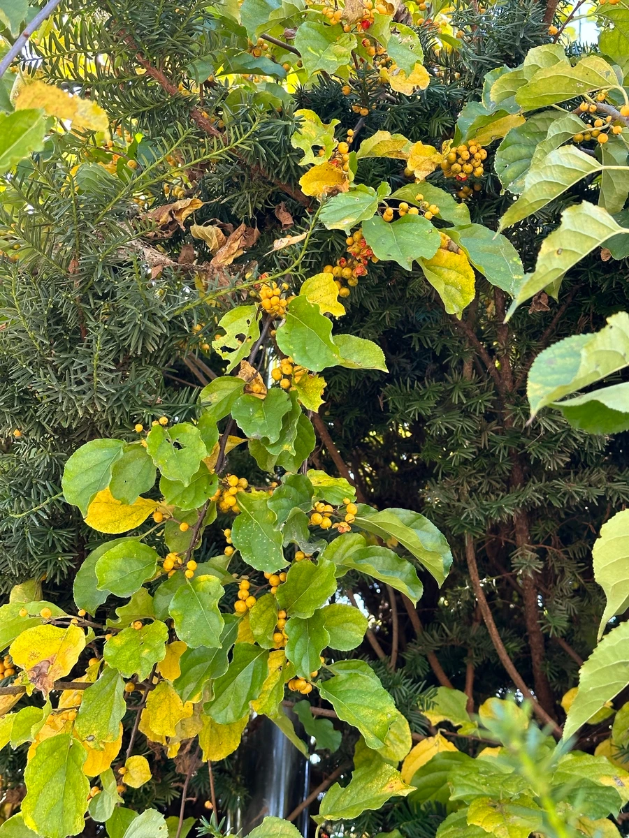 SE-d11f3546-fb18-4f35-b9ab-08831c6cbdc0.jpg?type=w1