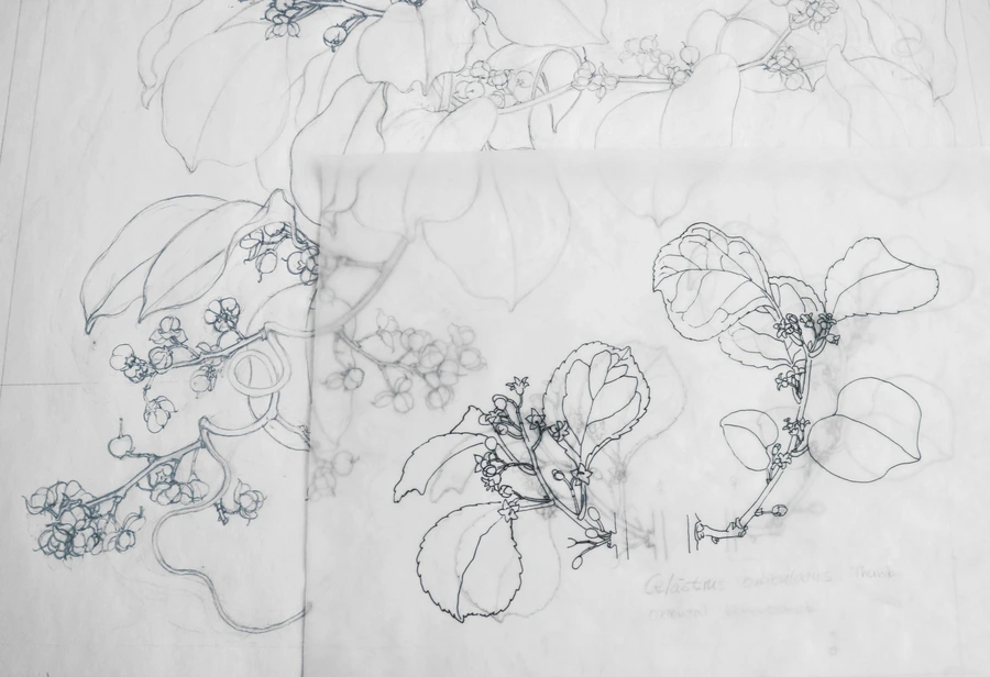 SE-ec92e43b-72e1-4b8b-a01e-d1bb78f0c738.jpg?type=w1