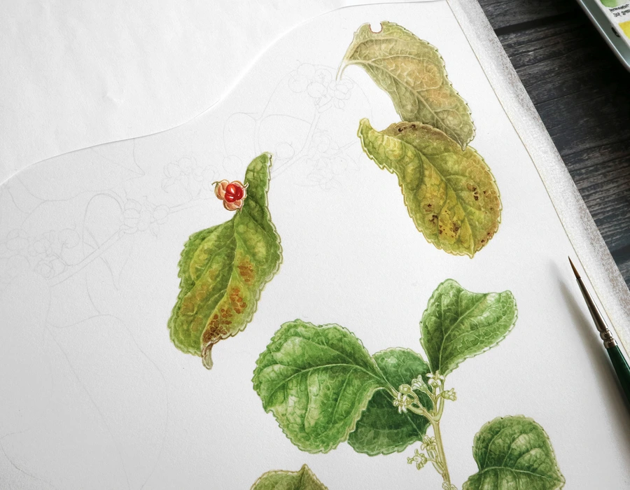 SE-29ea080d-b3a3-4134-b582-8ba023a75efc.jpg?type=w1