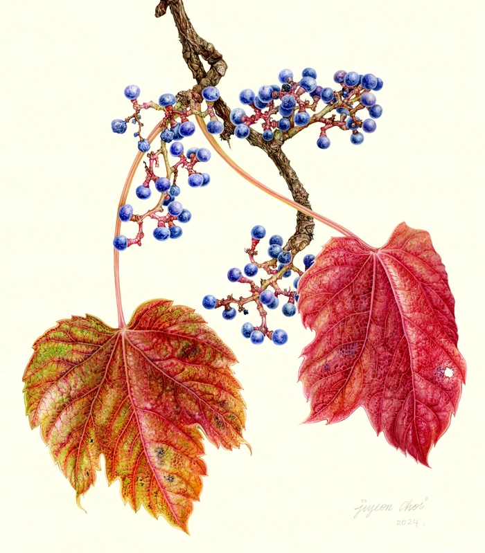 SE-c0a143d9-d2fc-434e-a357-934c29933169.jpg?type=w1