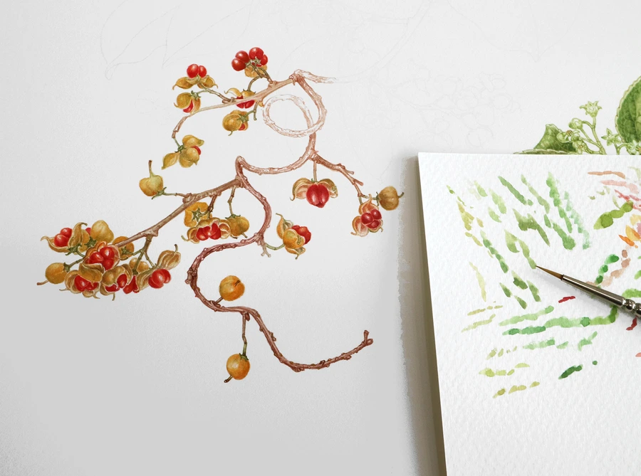 SE-28dfb813-00d5-4e90-8df0-0d6008fec684.jpg?type=w1