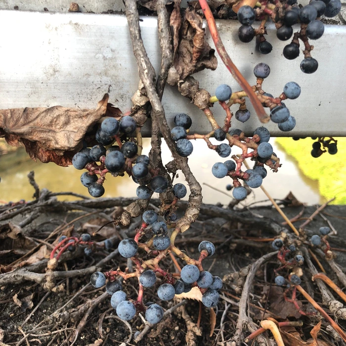 SE-d5e6d9fa-dfb2-41e4-b6f4-2642526eb869.jpg?type=w1