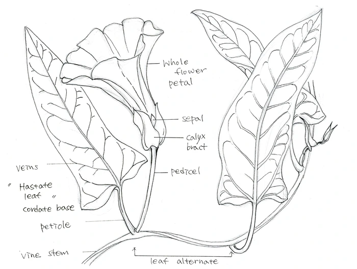SE-239c7b77-e725-43ff-b8ec-00fe0661eea1.jpg?type=w1