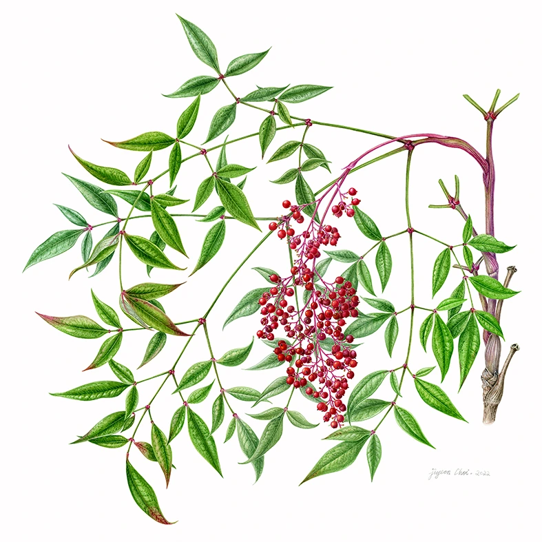 14.%EC%B5%9C%EC%A7%80%EC%97%B0_%EB%82%A8%EC%B2%9C%EC%8A%A4%EC%BA%94%EC%9D%B4%EB%AF%B8%EC%A7%80%EC%A1%B0%EC%A0%95.jpg?type=w1