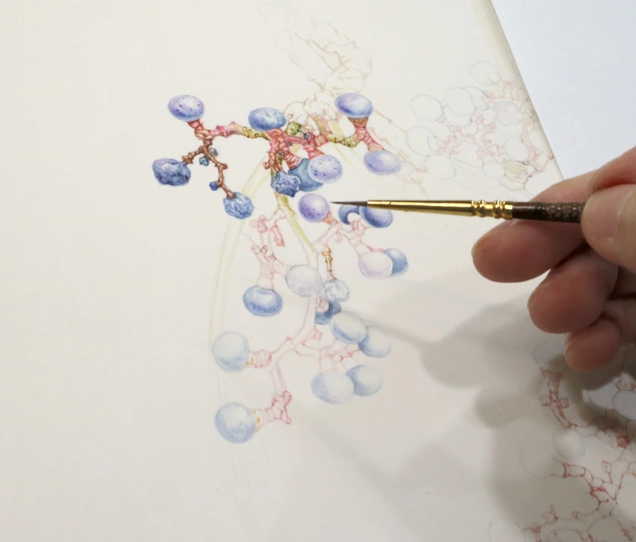 SE-e045c605-66a7-4afe-aaa1-1ede5591d2aa.jpg?type=w1