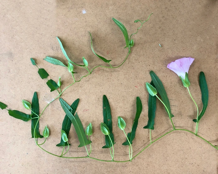 SE-8bcdbf55-6601-427a-8566-c4004838c139.jpg?type=w1