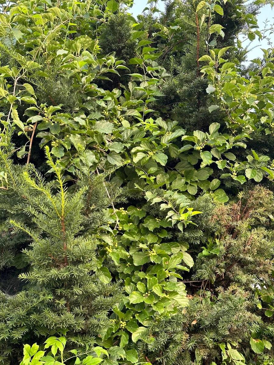 SE-c034a5d1-93ba-40d0-bcb1-026714fd2bdc.jpg?type=w1