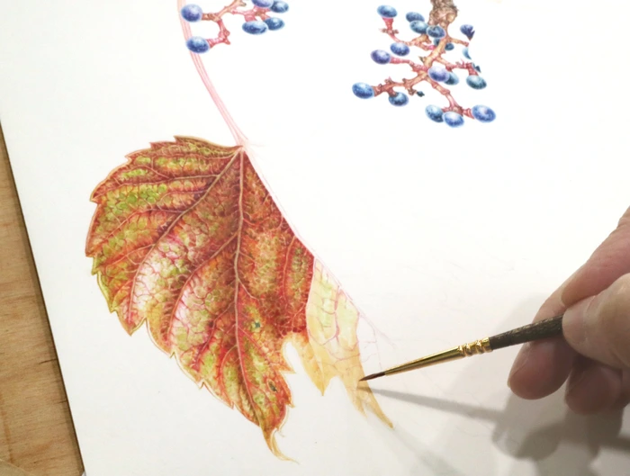 SE-5f15ef17-3eaa-4863-949e-3e3e207b8921.jpg?type=w1