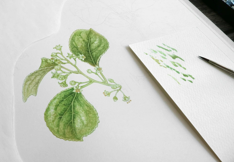 SE-f5930c4b-fa59-4c34-b02f-20d20d1b8296.jpg?type=w1