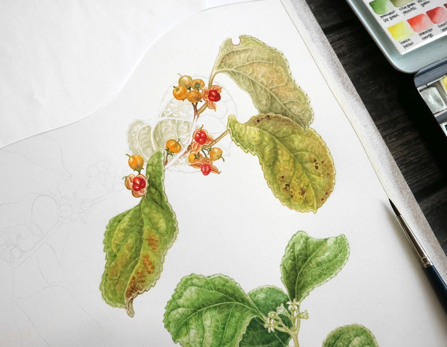 SE-0f9c9b07-4823-4c26-8c98-6901e9c72290.jpg?type=w1