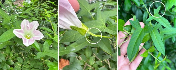 SE-cc10929b-dca3-4b13-9b8f-925e04959dd2.jpg?type=w1