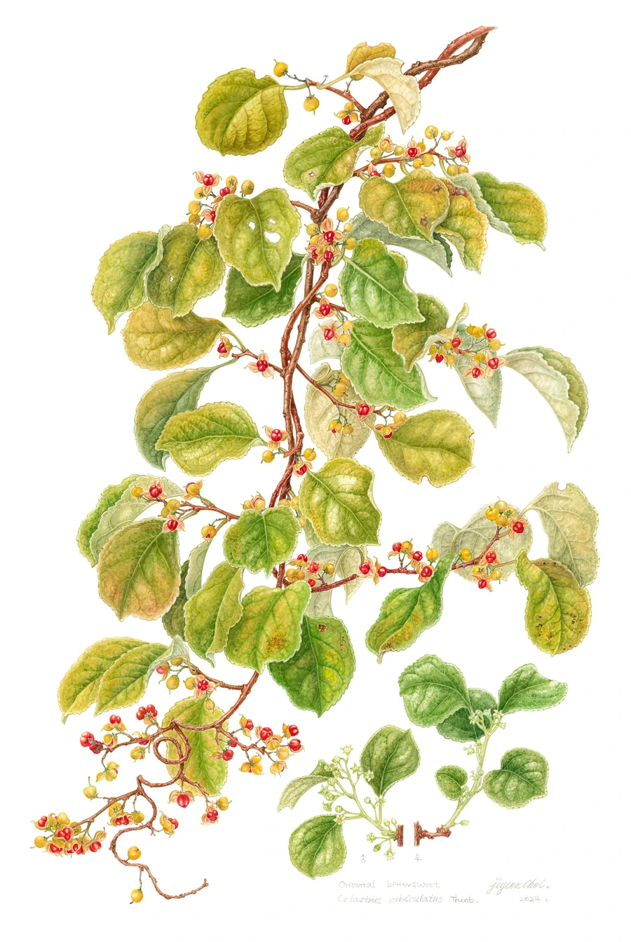 SE-b4a1bed7-6753-4765-8731-14f089dbf4f6.jpg?type=w1