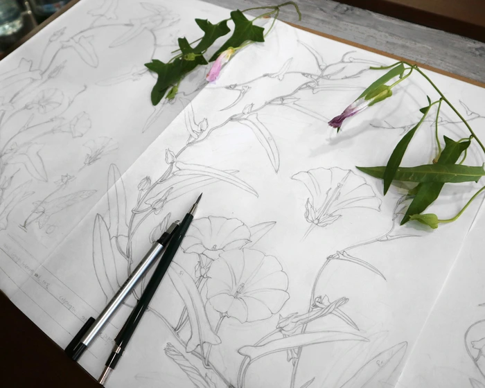 SE-34c7c2a9-8db1-4881-9e8b-1aad15cfd13e.jpg?type=w1